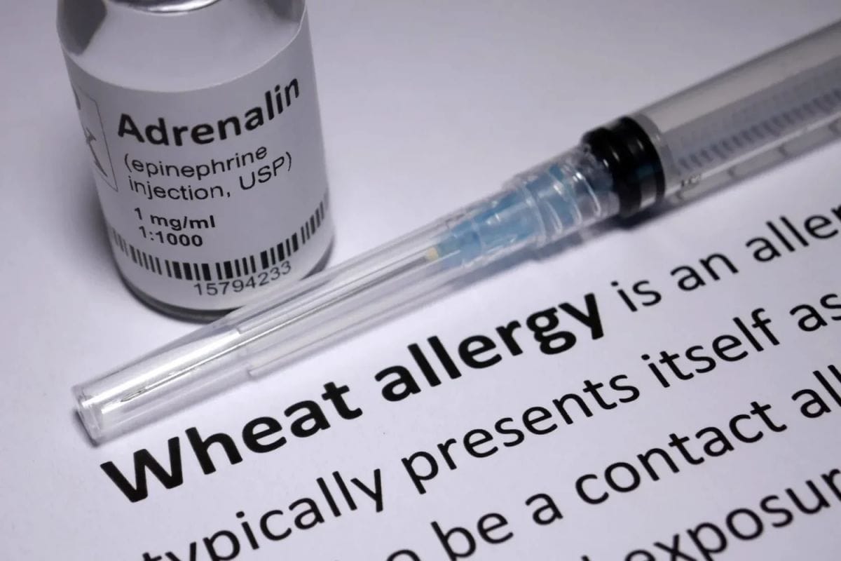 تشخيص وعلاج حساسية القمح 3 علاج حساسية القمح طبيا