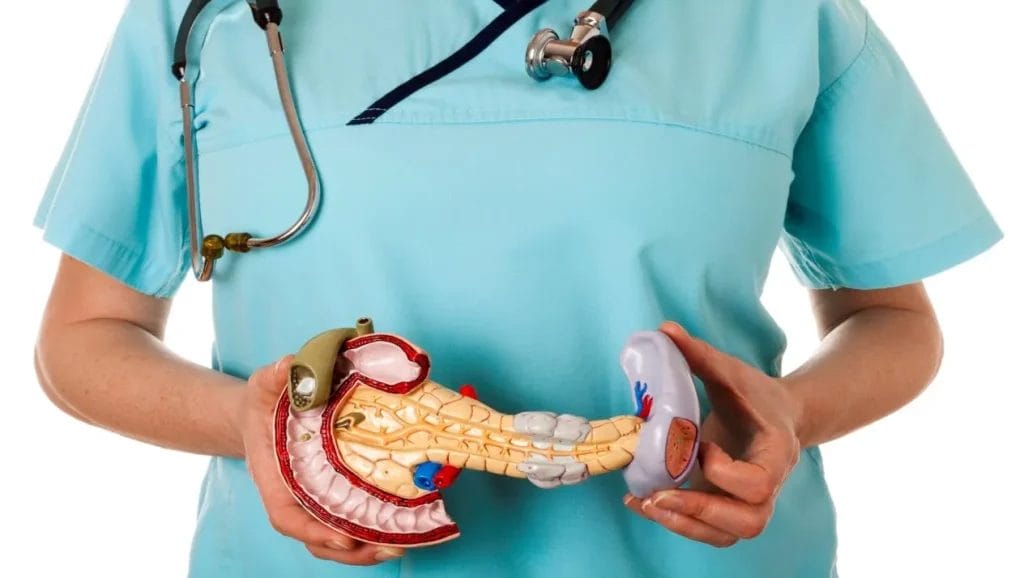 كيفية إجراء موجات صوتية على البنكرياس بالمنظار