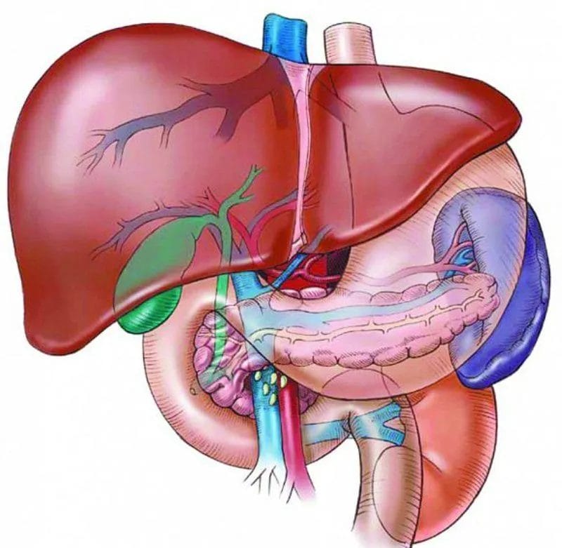 هل انسداد القناة الصفراوية خطير
