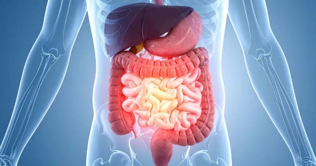 هل جرثومة المعدة تسبب الوفاة؟