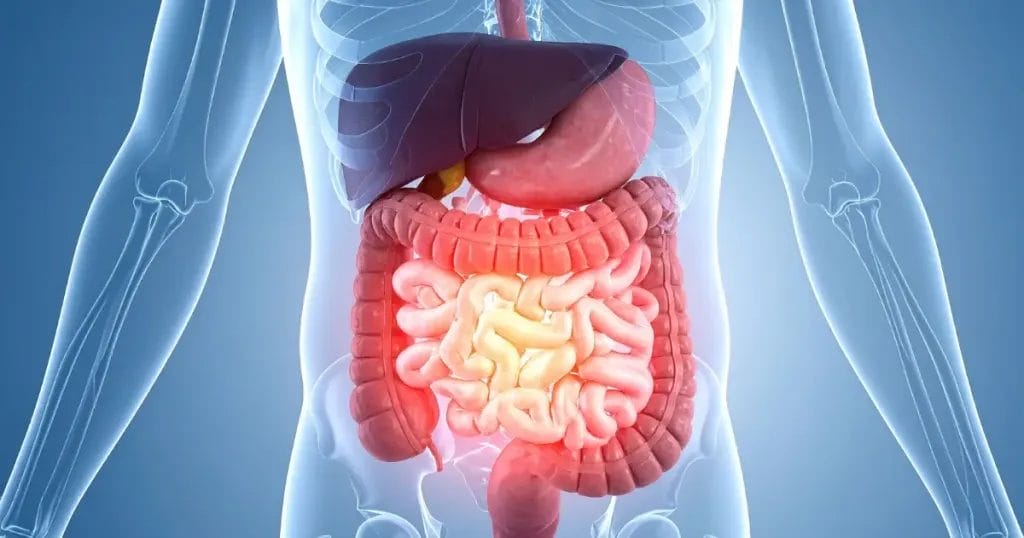 أعراض التهاب المريء