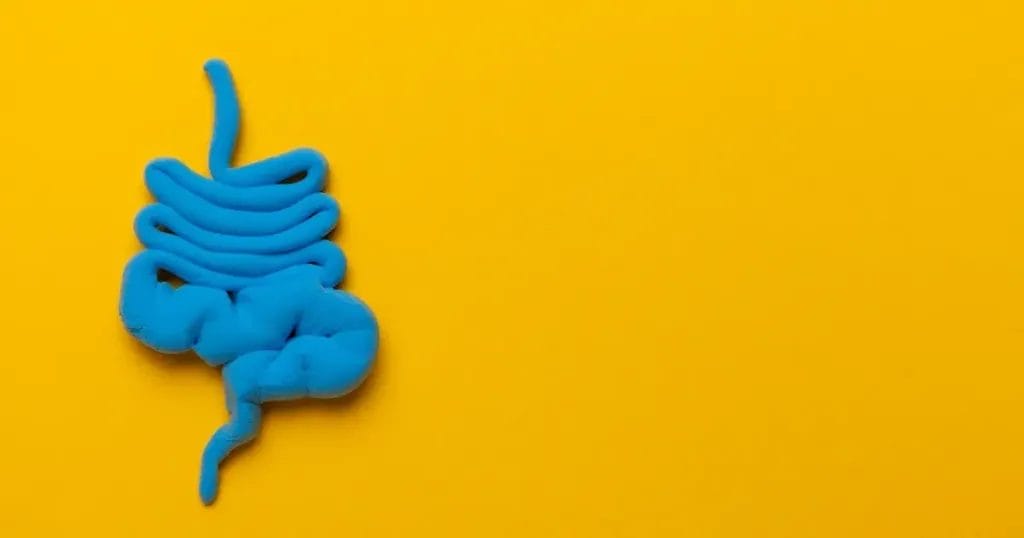 هل يمكن الوقاية من متلازمة القولون العصبي؟