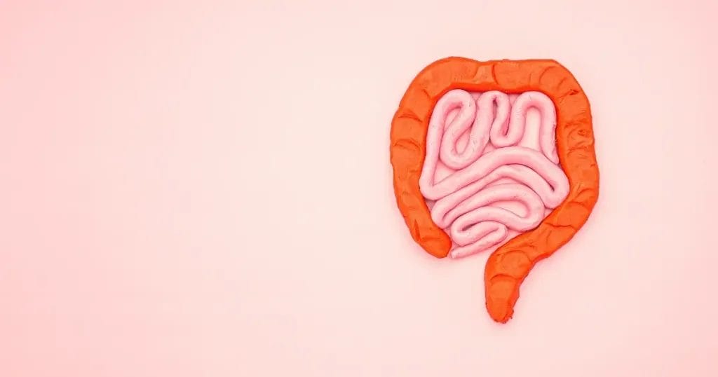 النظام الغذائي المناسب لمرضى التهاب المرارة والقولون