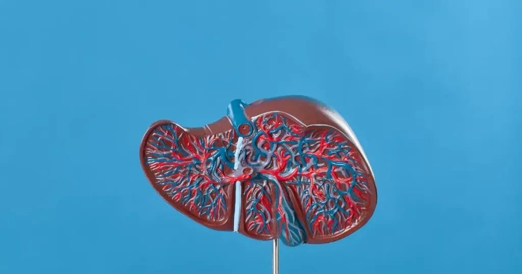 أعراض سرطان الكبد المتأخرة