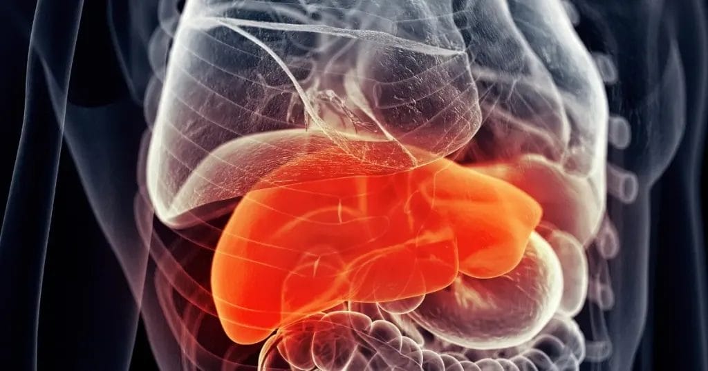 هل تليف الكبد له علاج