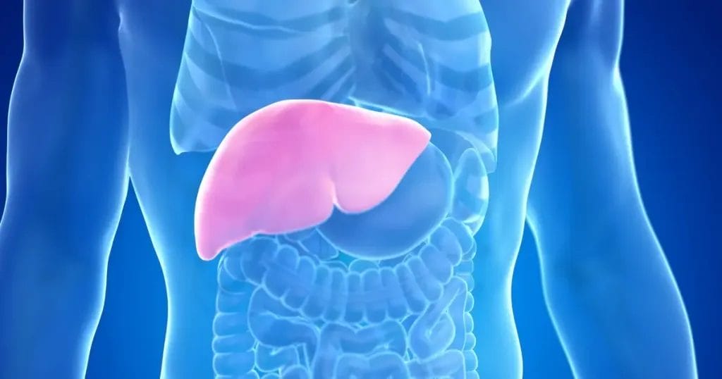 هل مريض تليف الكبد يشفى