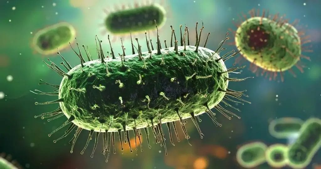 فطور الصباح لمرضى جرثومة المعدة