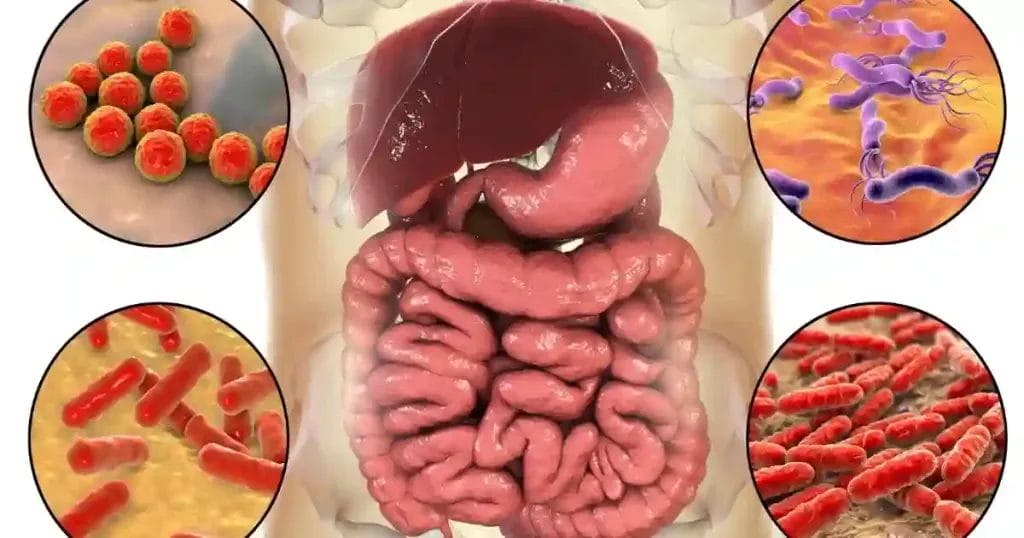 هل جرثومة المعدة معدية بين الزوجين