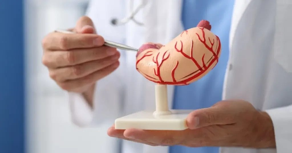 هل يمكن الشفاء من قرحة الاثنى عشر