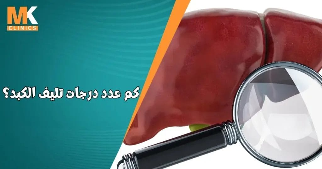 درجات تليف الكبد
